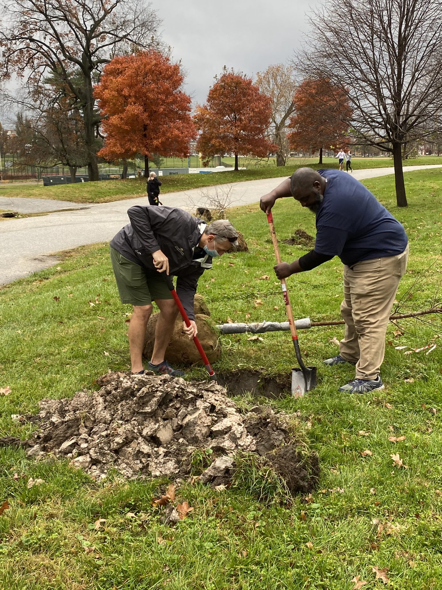 Reports » Baltimore Tree Trust